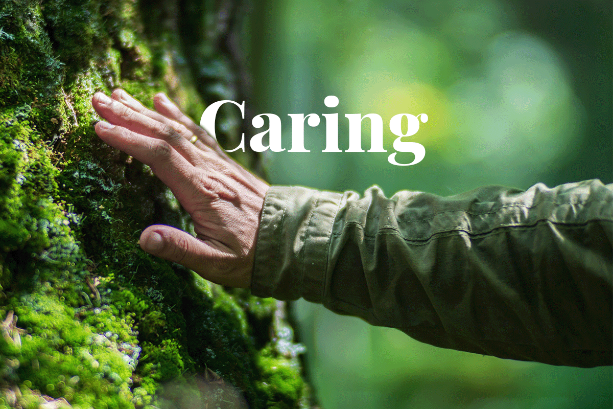 This is how the 10 largest companies in Latin America focus on ESG